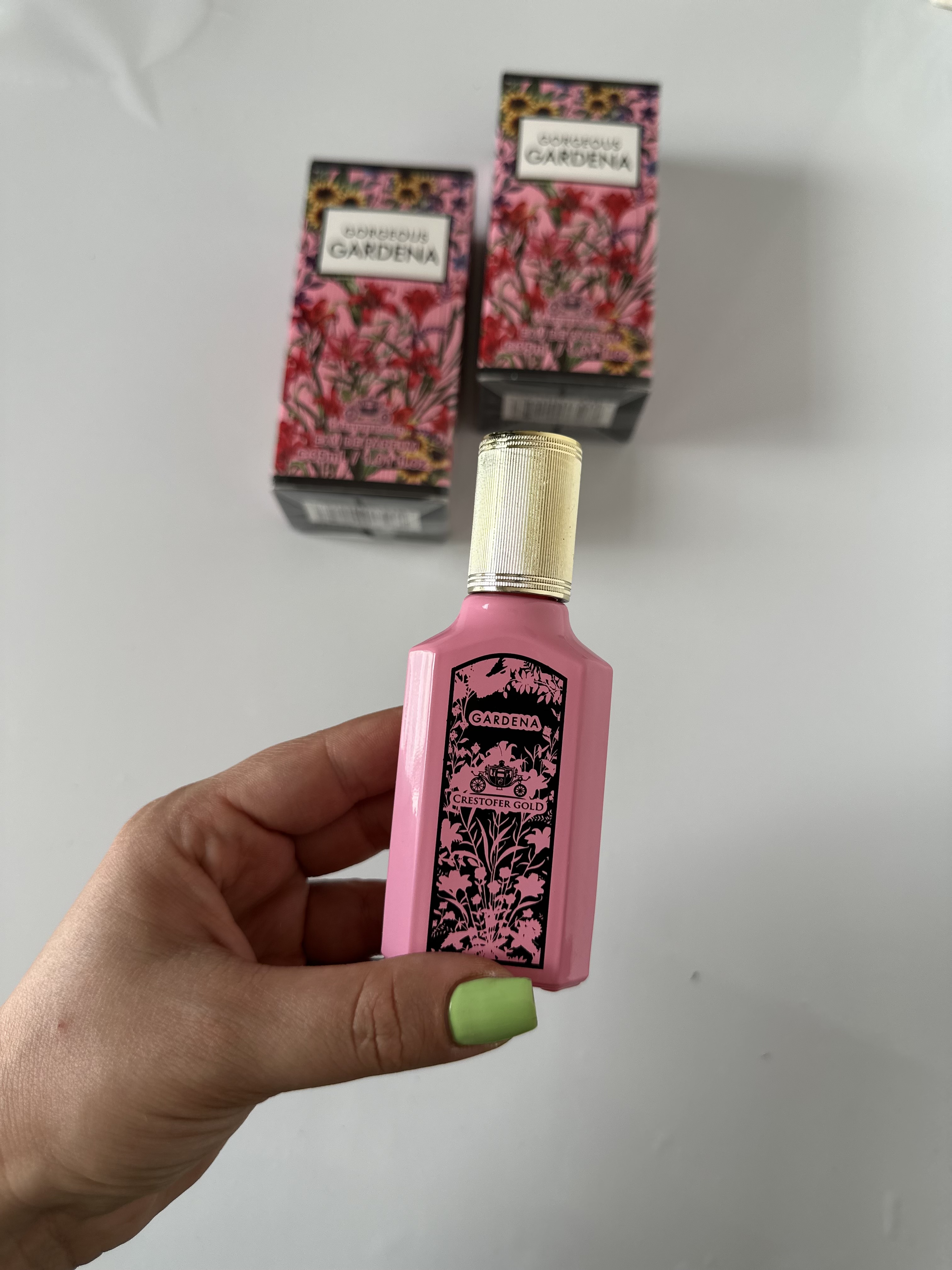 گوچی گرجس گاردنیامینی